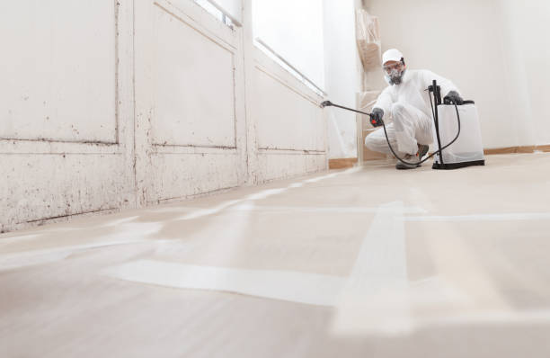 24/7 Emergency Black Mold Remediation experts in Richmond, VA