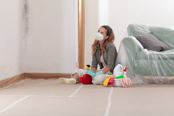 Reliable Black Mold Remediation contractor in Richmond, VA by 24 Hour Mold Removal